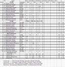 Турнирная таблица ЧБ2011 по шкмг после 3-х этапов